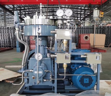qualità  Customized Service Gas Air Compressors Hydrogen Diaphragm Compressor Especially For Compression Special Gases fabbrica