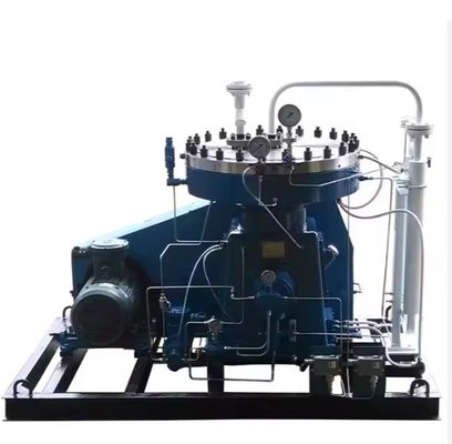 Compressore del diaframma Gas Air Hydrogen Da fornitore cinese affidabile Non causa alcun inquinamento Medio Servizio OEM Odm